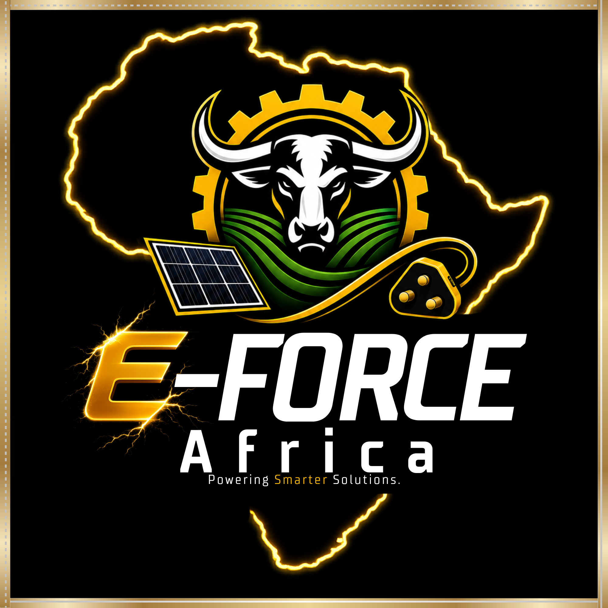 e-FORCE Africa